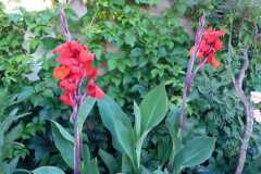 WhatsApp-Image-2021-03-15-at-11.40.16-2