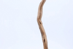 503